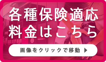 各種保険適応料金