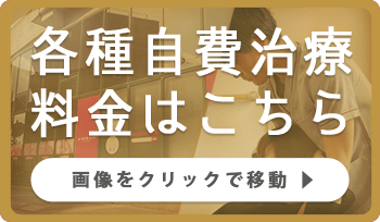 各種自費治療料金